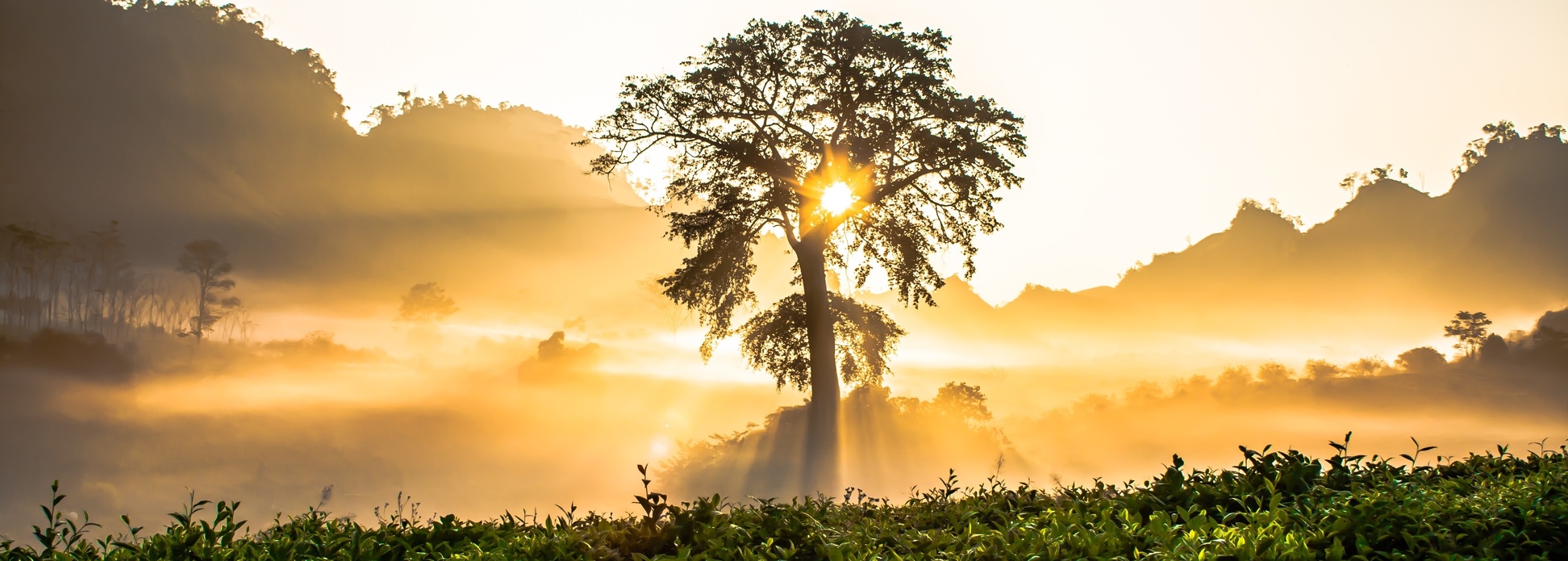 alt:"slider recover happy"